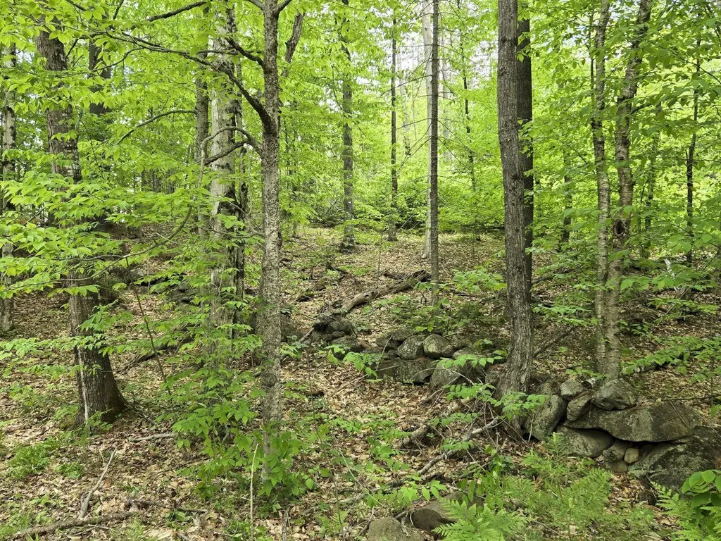 Lot 10c Staples Pond Road Temple ME 04984