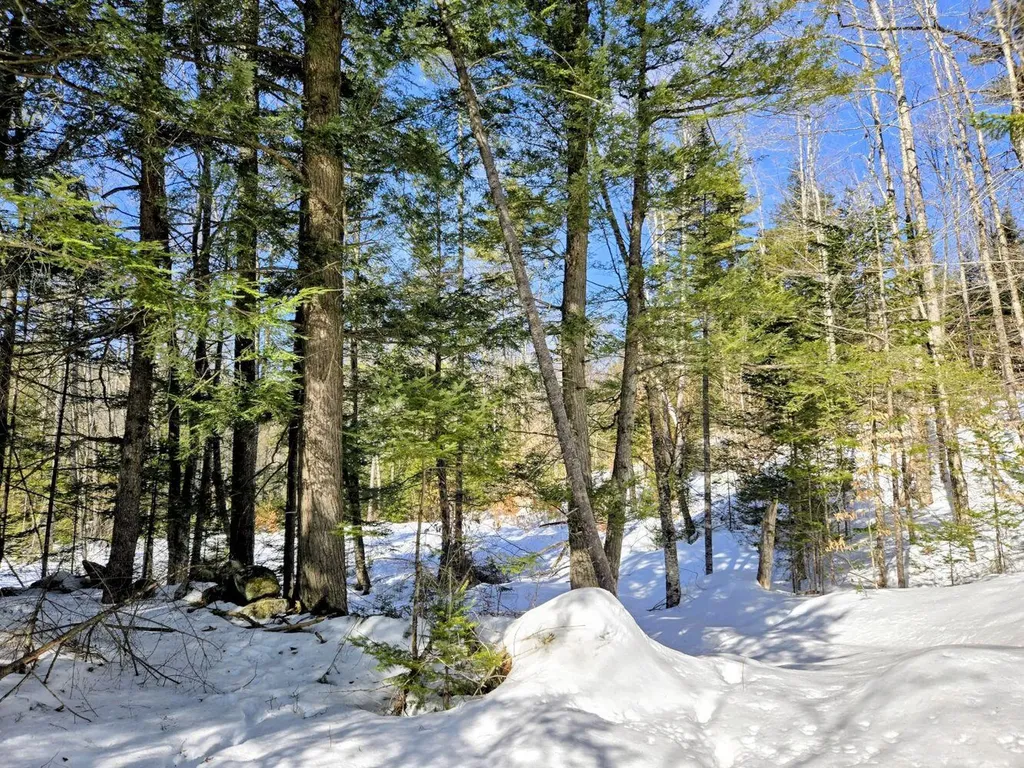 Lot 10c Staples Pond Road Temple ME 04984