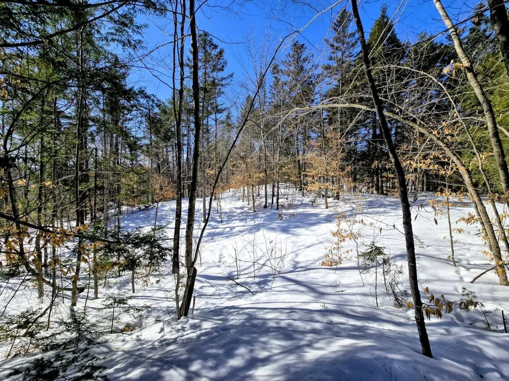 Lot 10c Staples Pond Road Temple ME 04984
