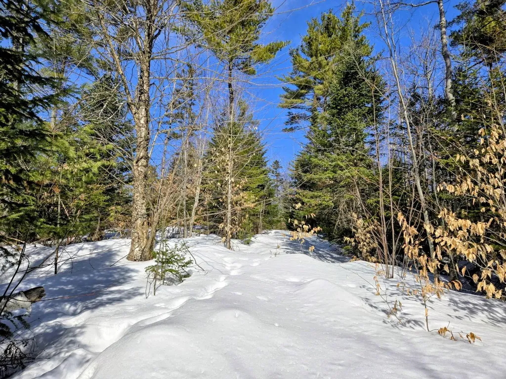 Lot 10c Staples Pond Road Temple ME 04984