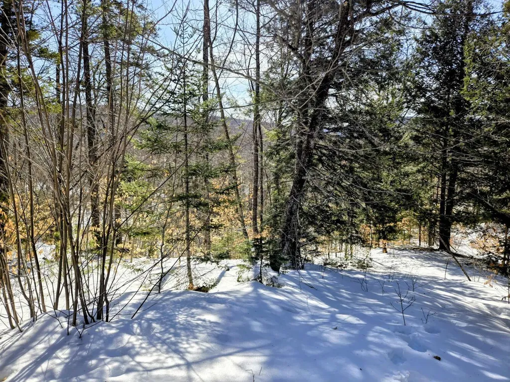 Lot 10c Staples Pond Road Temple ME 04984
