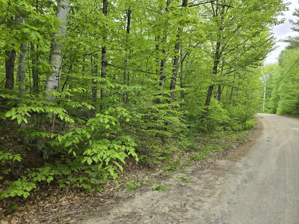 Lot 10c Staples Pond Road Temple ME 04984