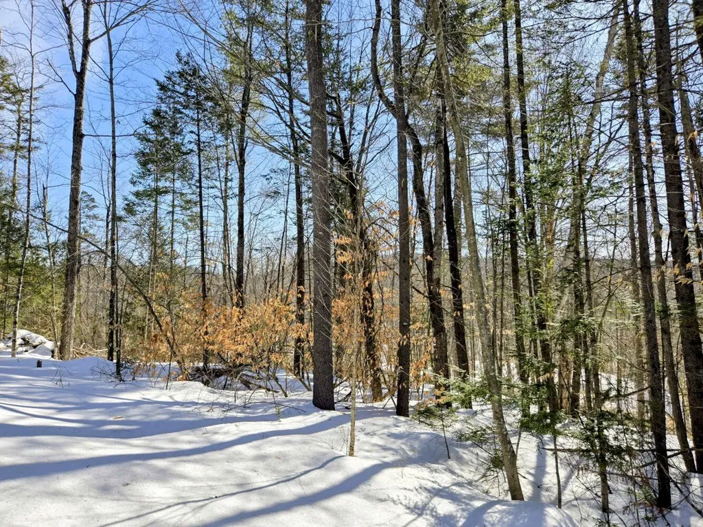 Lot 10c Staples Pond Road Temple ME 04984