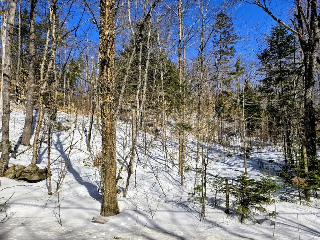 Lot 10c Staples Pond Road Temple ME 04984