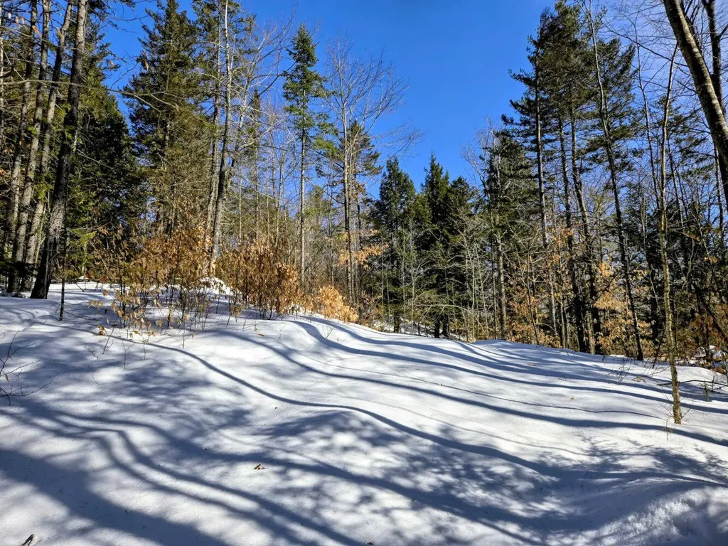 Lot 10c Staples Pond Road Temple ME 04984