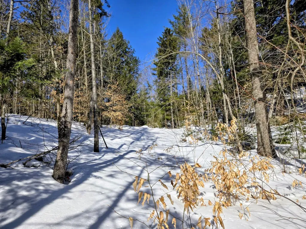Lot 10c Staples Pond Road Temple ME 04984