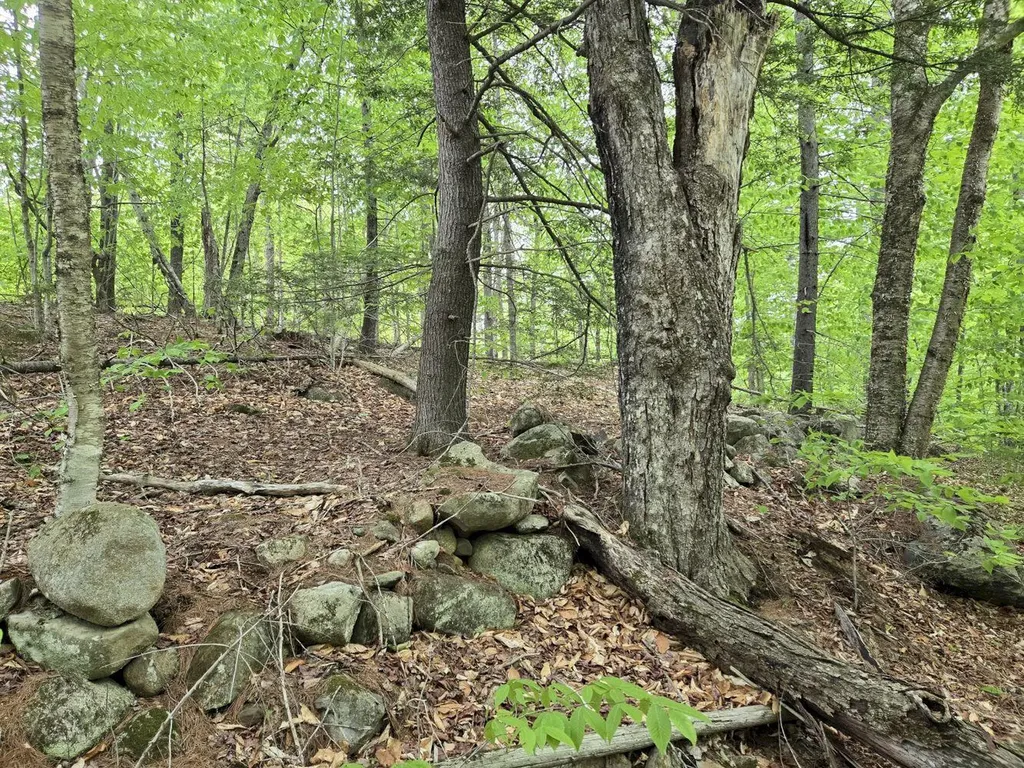 Lot 10c Staples Pond Road Temple ME 04984