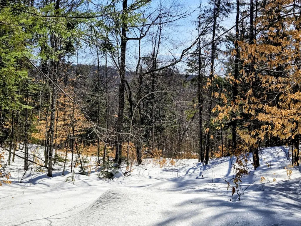 Lot 10c Staples Pond Road Temple ME 04984