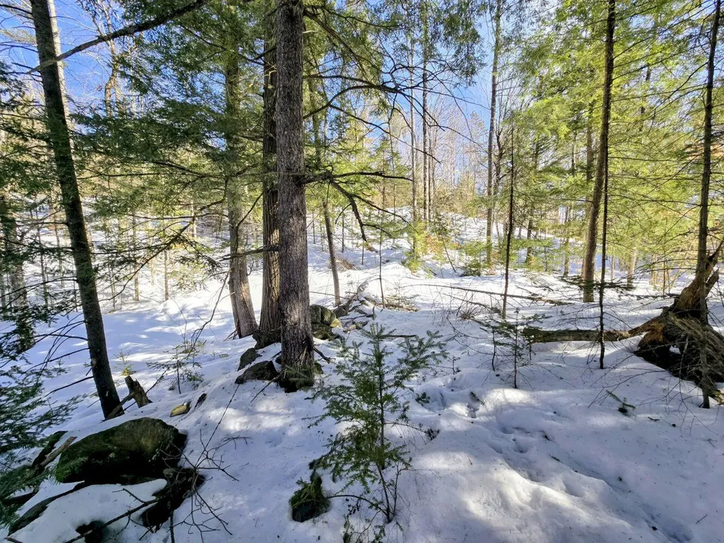Lot 10c Staples Pond Road Temple ME 04984