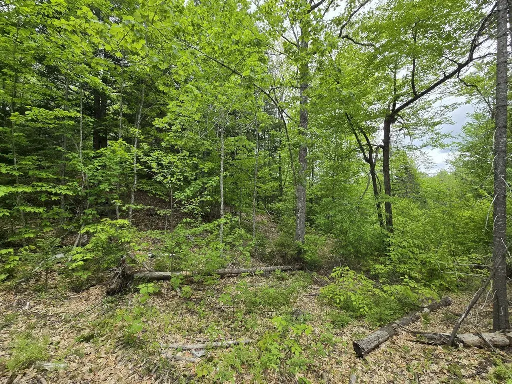 Lot 10c Staples Pond Road Temple ME 04984