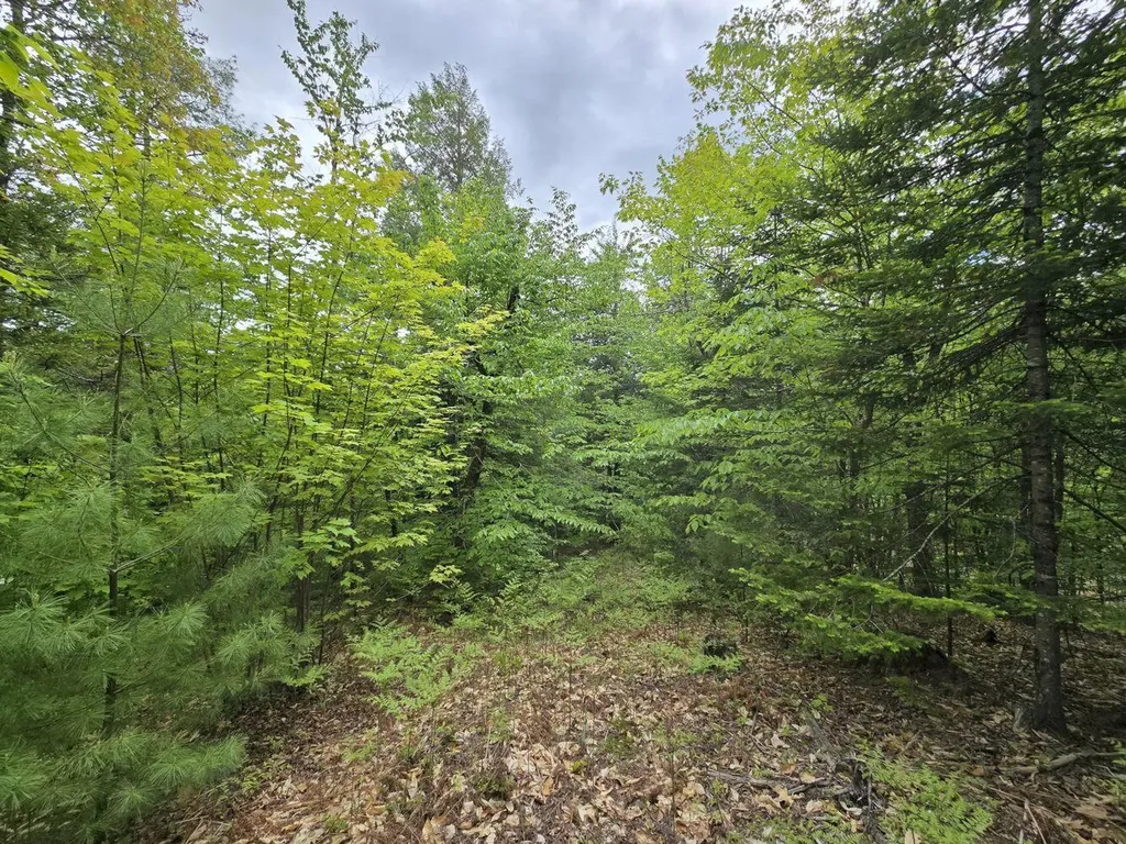 Lot 10c Staples Pond Road Temple ME 04984