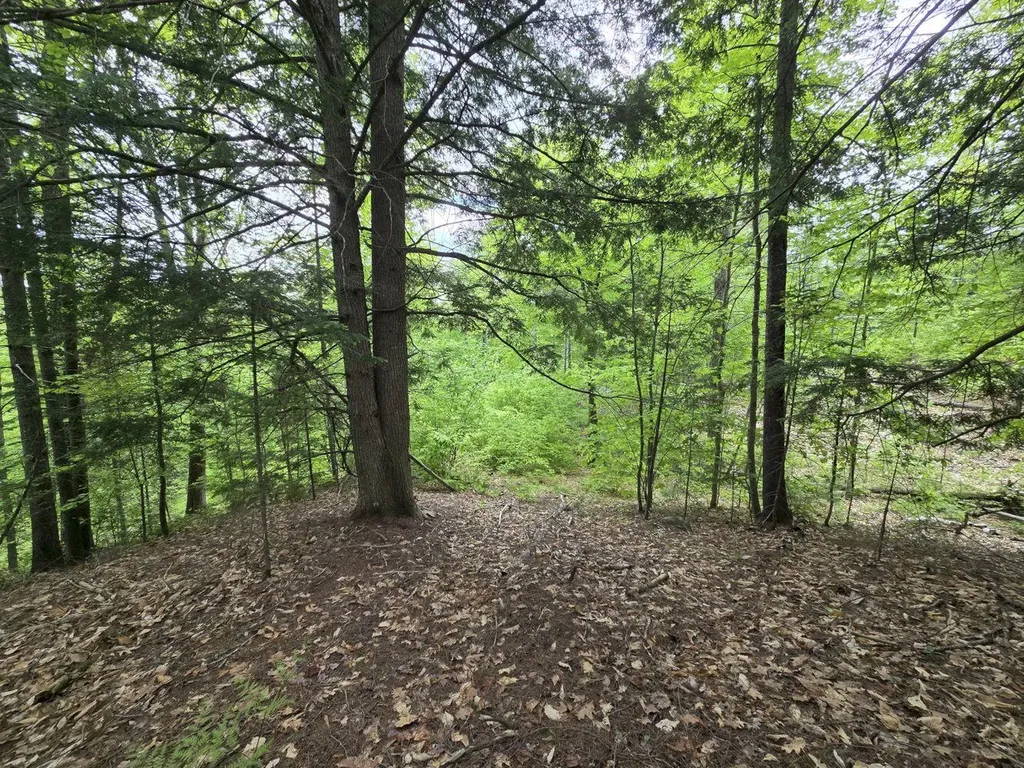 Lot 10c Staples Pond Road Temple ME 04984