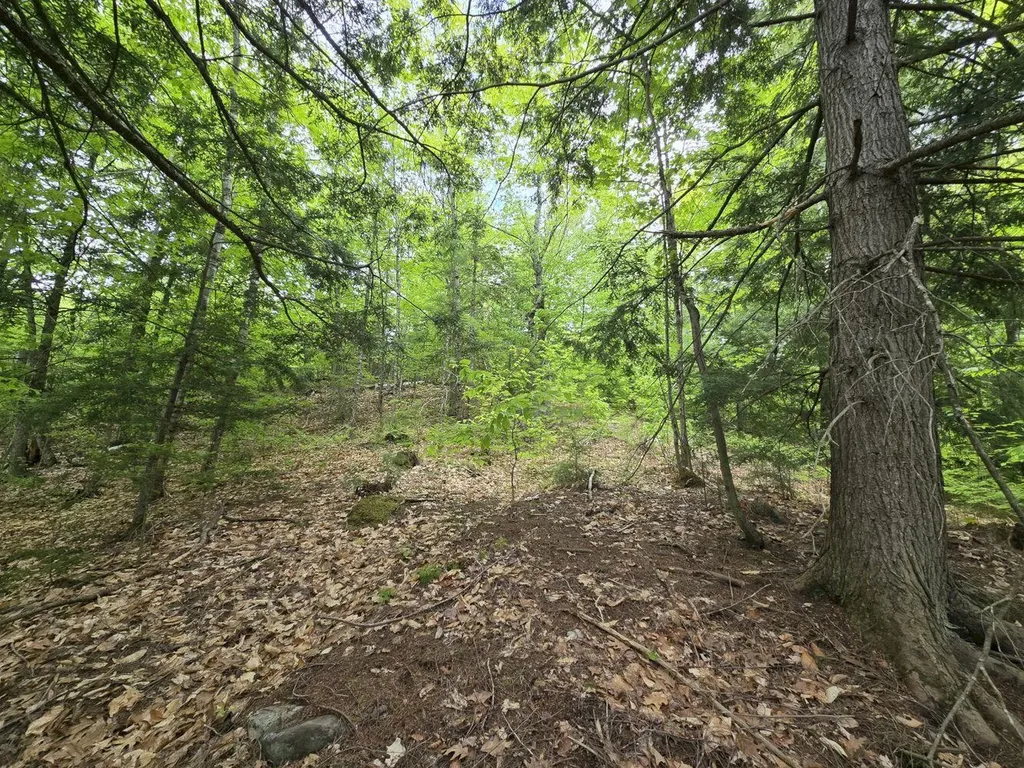 Lot 10c Staples Pond Road Temple ME 04984