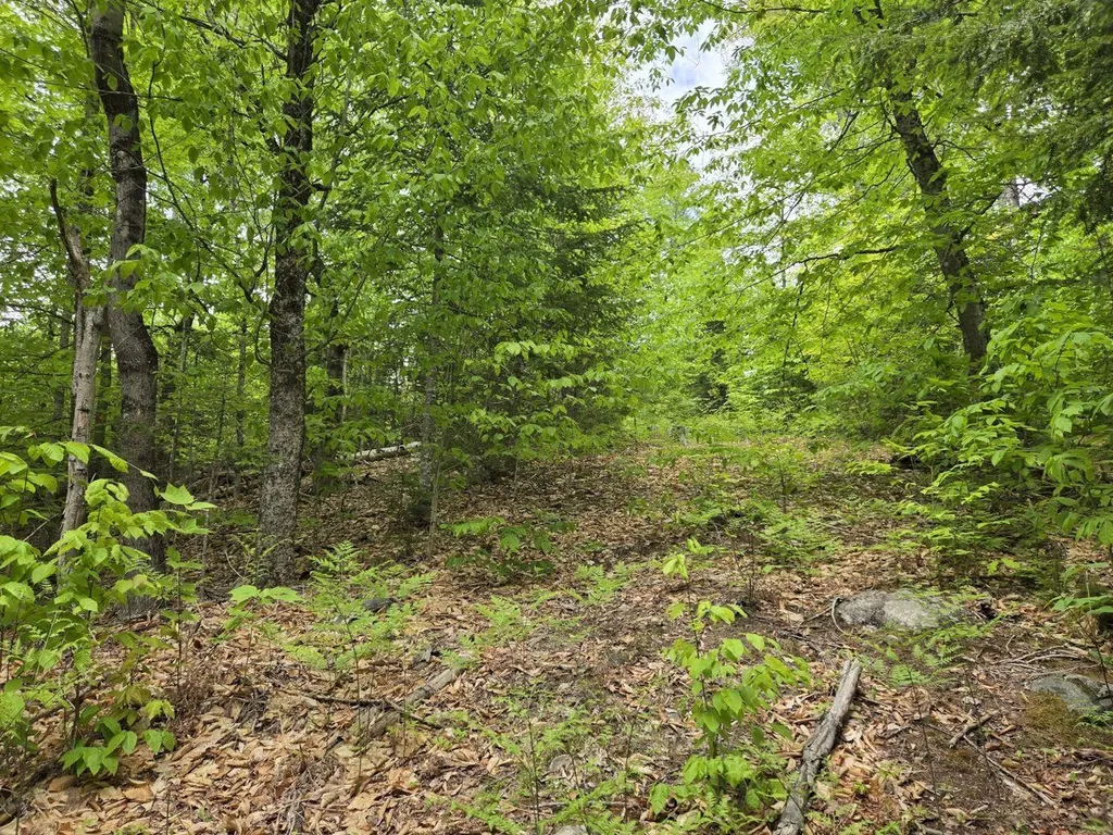Lot 10c Staples Pond Road Temple ME 04984