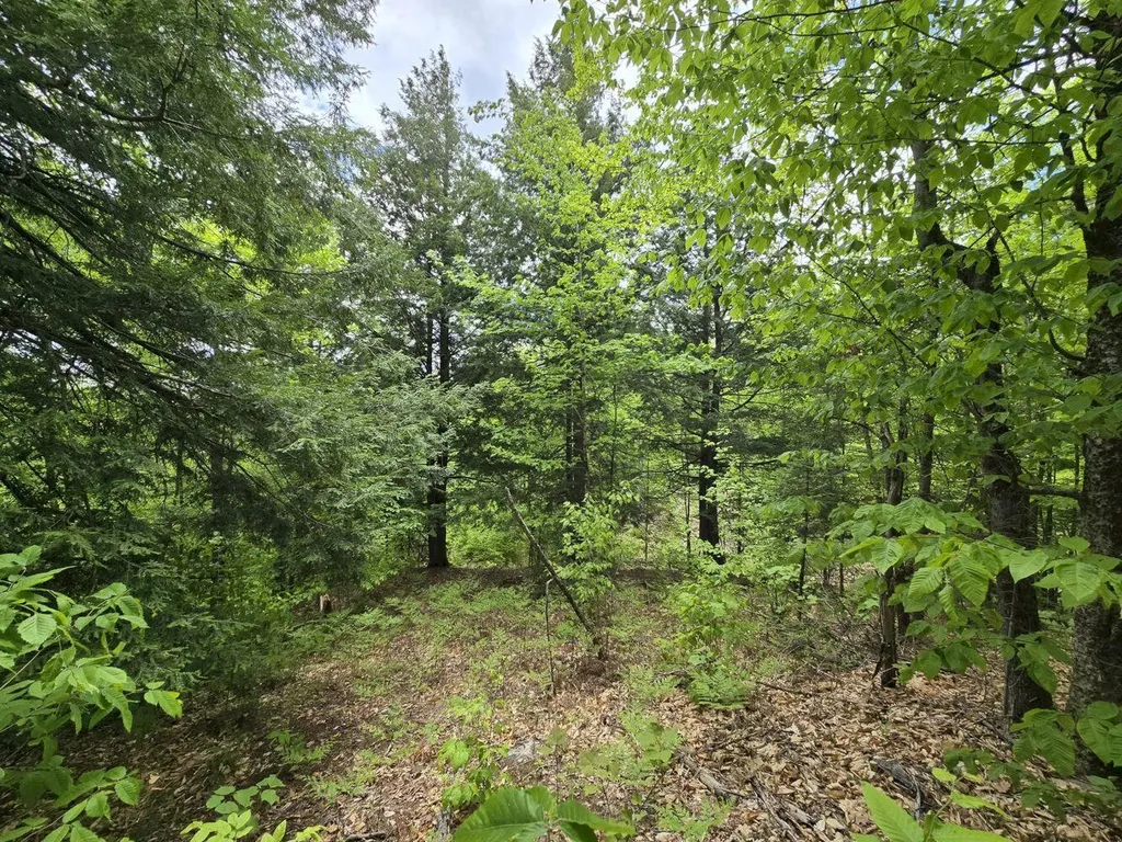 Lot 10c Staples Pond Road Temple ME 04984