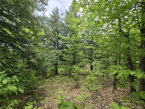 Lot 10c Staples Pond Road Temple ME 04984