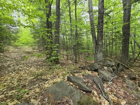 Lot 10c Staples Pond Road Temple ME 04984