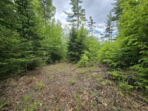 Lot 10c Staples Pond Road Temple ME 04984