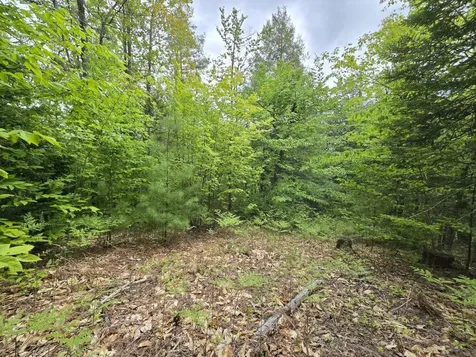 Lot 10c Staples Pond Road Temple ME 04984