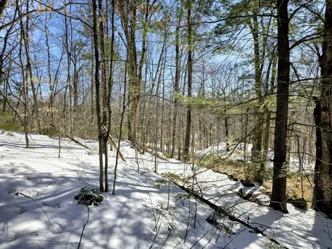 Lot 10c Staples Pond Road Temple ME 04984
