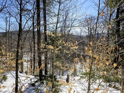 Lot 10C Staples Pond Road Temple ME 04984