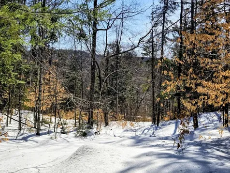 Lot 10c Staples Pond Road Temple ME 04984