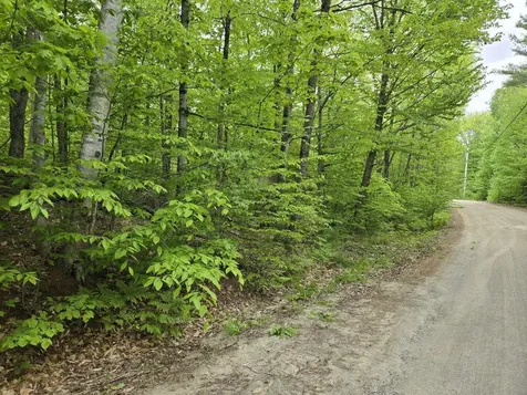 Lot 10c Staples Pond Road Temple ME 04984