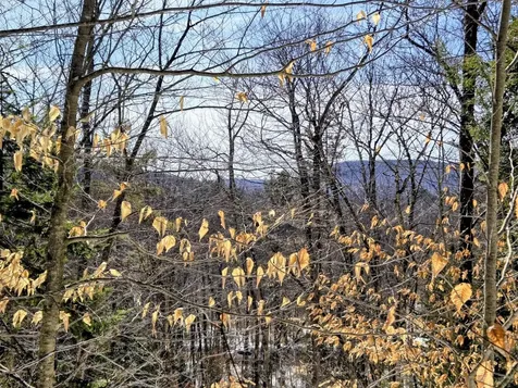 Lot 10c Staples Pond Road Temple ME 04984