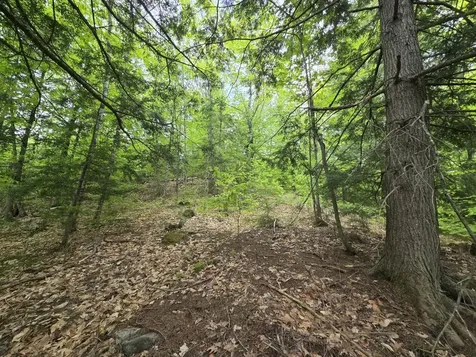 Lot 10c Staples Pond Road Temple ME 04984