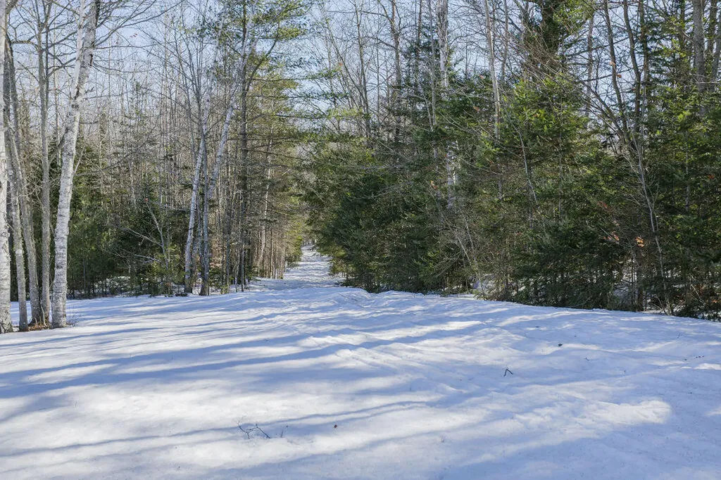 31 Bog Pond Road Phillips ME 04966