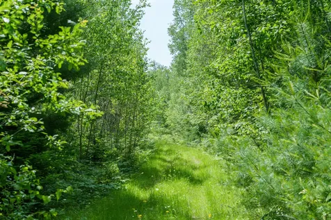 Lot 26-37 Otter Trail Greenbush ME 04418