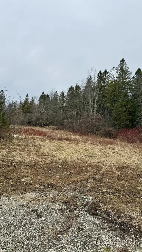 Lot # Meadow Road Winterport ME 04496