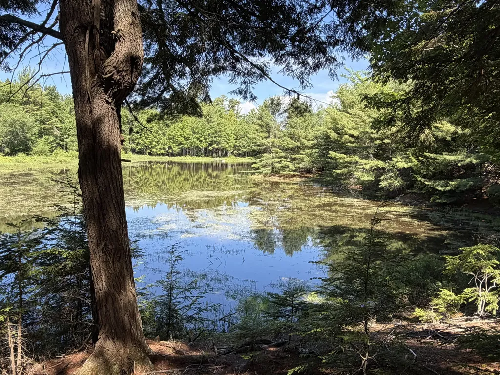 40 Benjamin Way Waltham ME 04605