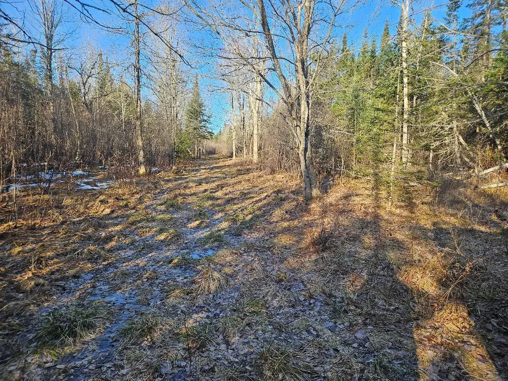 0 Cedar Lane Plymouth ME 04969