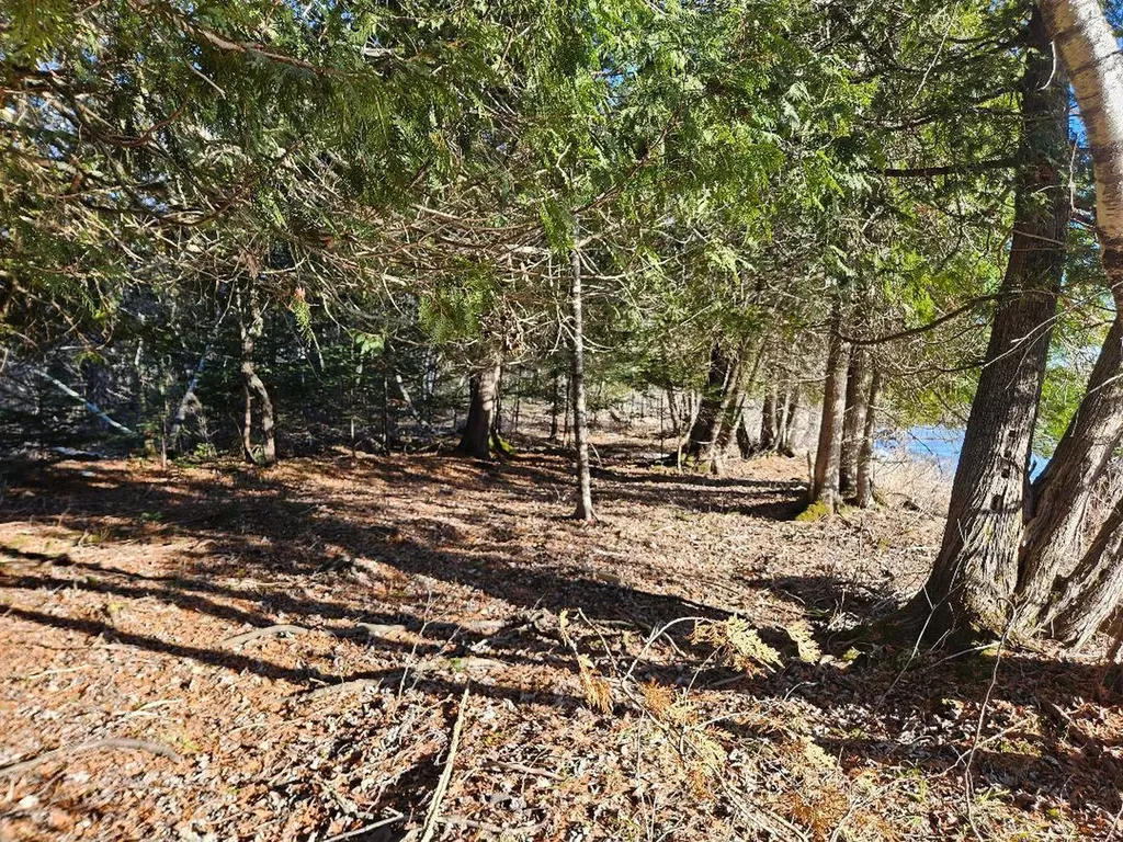 0 Cedar Lane Plymouth ME 04969