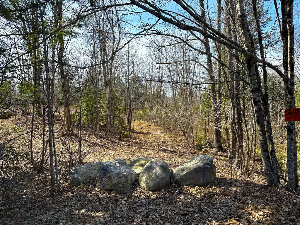 00 North Road Parsonsfield ME 04047