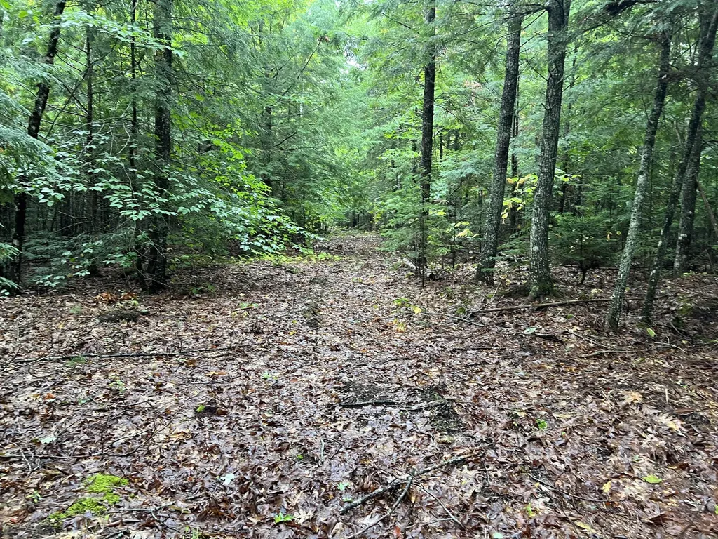 30 Moose Trail Waltham ME 04605
