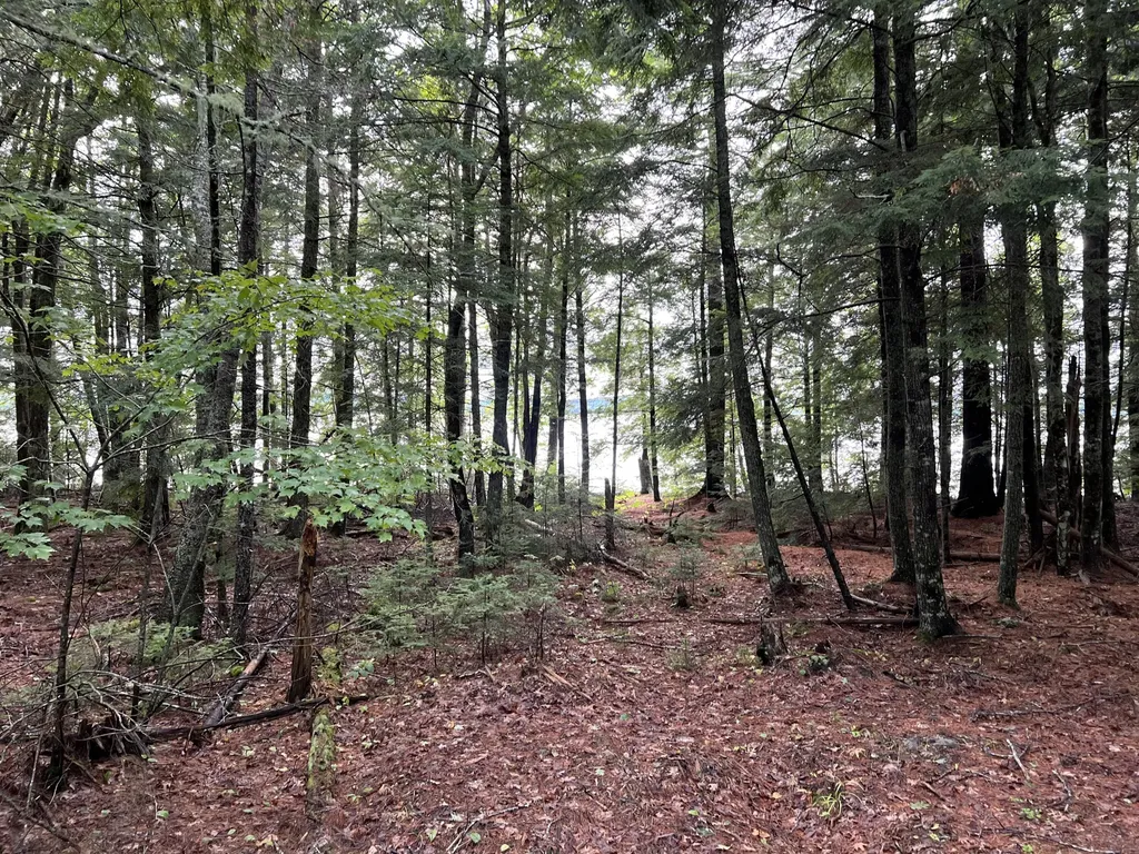 30 Moose Trail Waltham ME 04605
