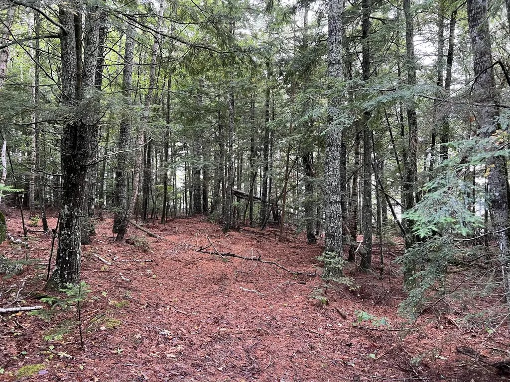 30 Moose Trail Waltham ME 04605