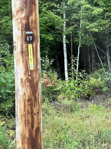 30 Moose Trail Waltham ME 04605
