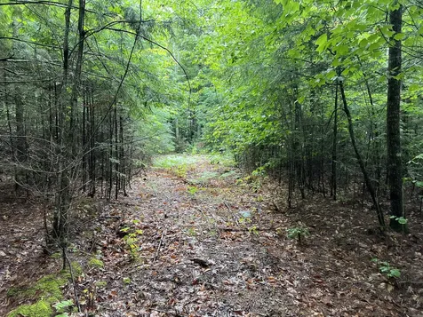 30 Moose Trail Waltham ME 04605