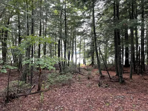 30 Moose Trail Waltham ME 04605