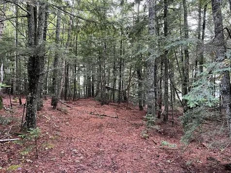 30 Moose Trail Waltham ME 04605