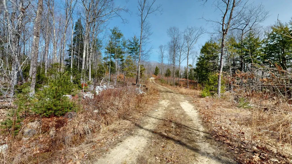 Lot 13b Wiley Road Greene ME 04236