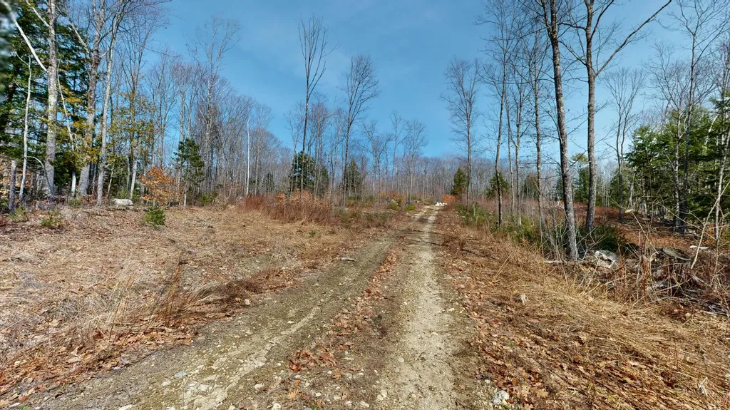 Lot 13b Wiley Road Greene ME 04236