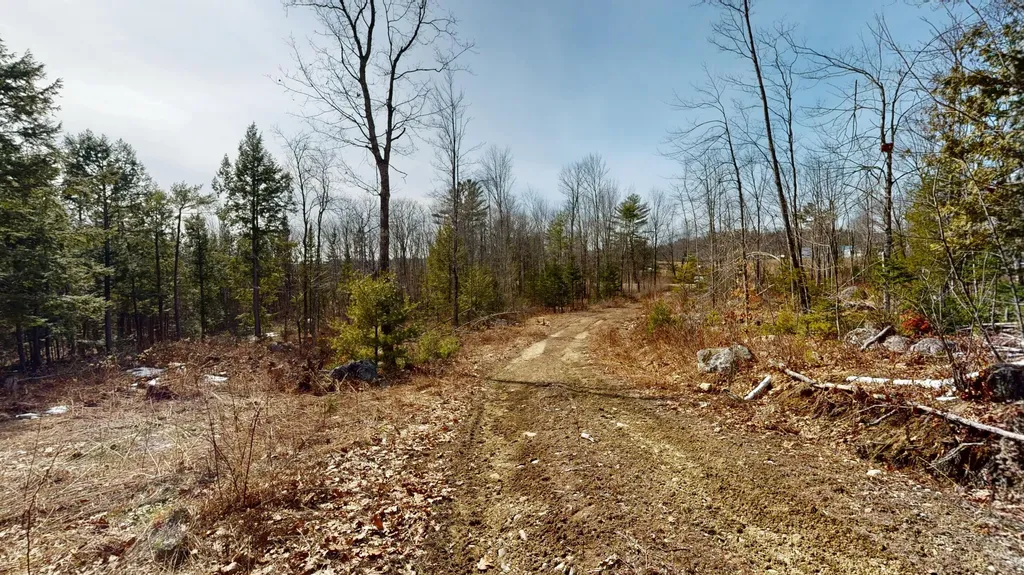 Lot 13b Wiley Road Greene ME 04236