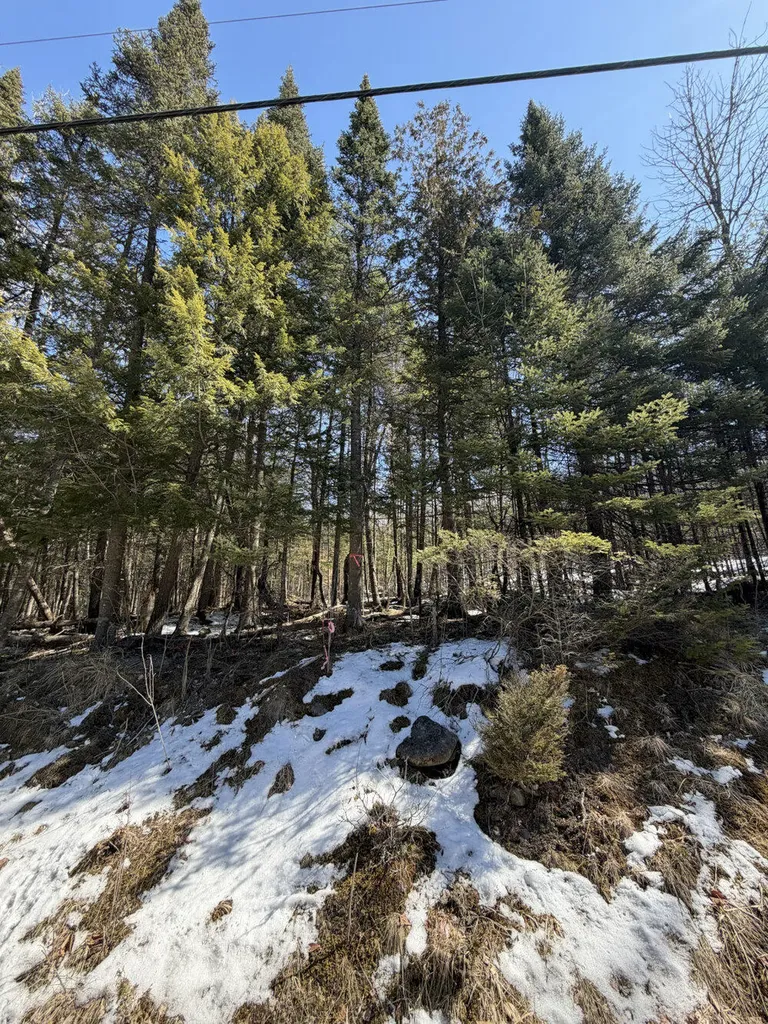 259 Page Hill Road Ripley ME 04923