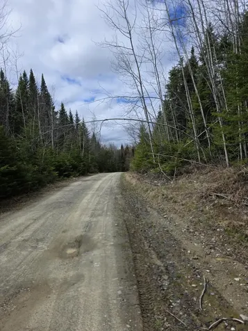 AR105P4 Jemtland Road Connor Twp ME 04762