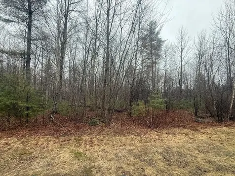 Lot #9 Ryder Drive Sidney ME 04330