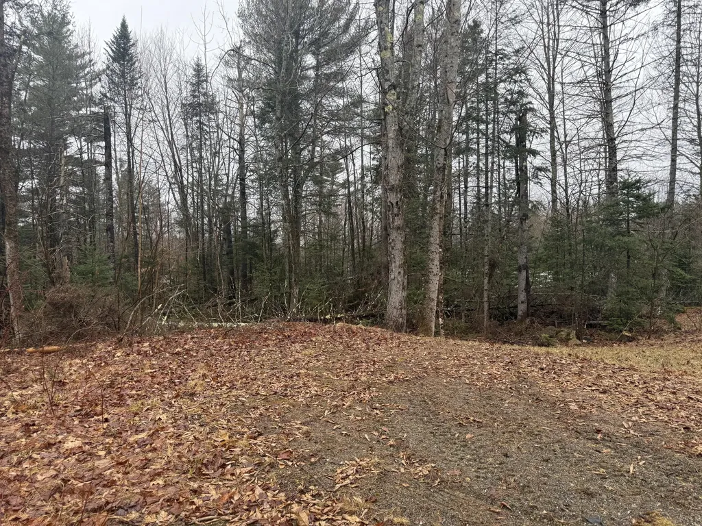 1373 Bailey Road Jackson ME 04921